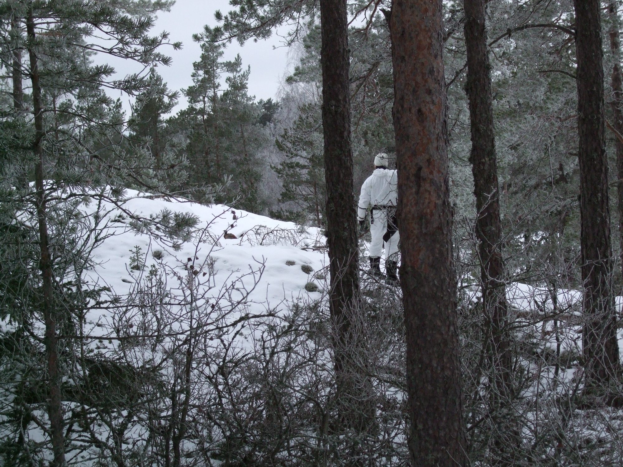 DSCF0584.jpg